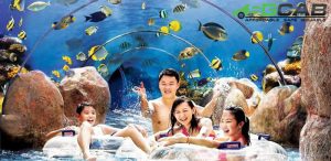 Adventure Cove Waterpark™ - Tourist Attractions in Singapore
