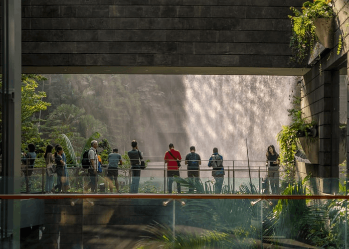 A Visitors Guide to Singapore’s Jewel Changi Airport